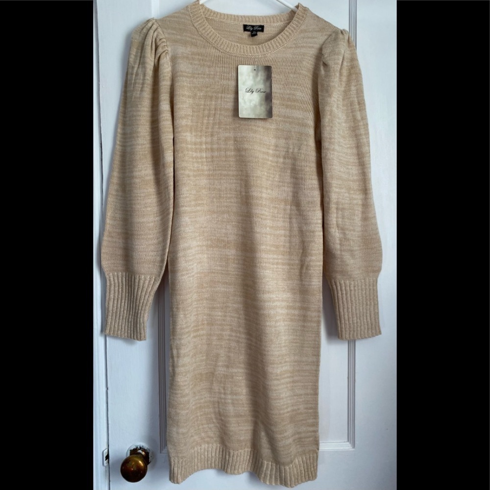 NWT Lily Rose Long Sleeves Pullover Sweater Dress- XS